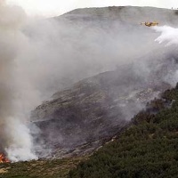 Villafranca del Bierzo acoge el ‘I Encuentro sobre conservación y uso del monte: por un futuro sin incendios’